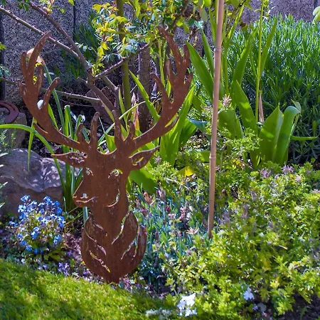 Baron Von Muenchhausen