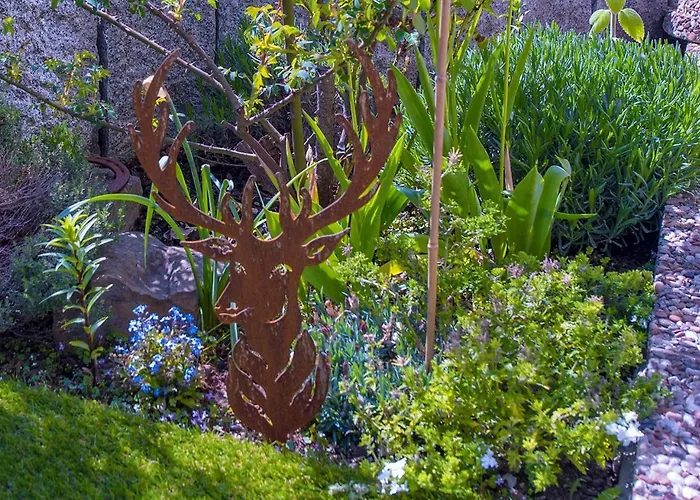 Baron Von Muenchhausen